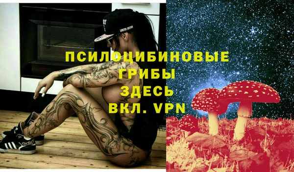 Альфа ПВП Белокуриха