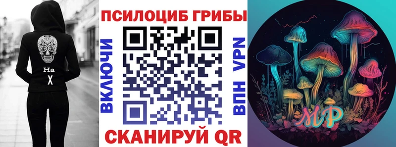 Псилоцибиновые грибы Psilocybe купить наркотик МЕГА как зайти Зеленогорск
